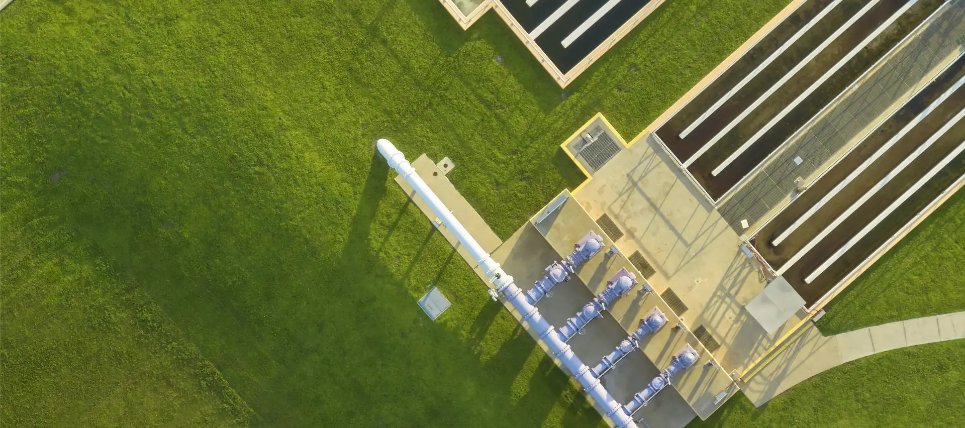 Visuel illustrant les solutions innovantes développées par E-reef